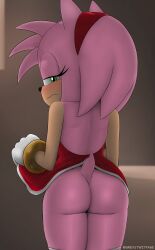 absurd_res amy_rose ass bottomwear clothed clothing clothing_lift detailed_background embarrassed eulipotyphlan female greystwitpage_(artist) hedgehog hi_res looking_at_viewer looking_back looking_back_at_viewer mammal sega skirt skirt_lift solo sonic_(series) sonic_the_hedgehog_(series) standing