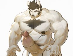 anthro balls barazoku biceps big_balls big_muscles big_penis black_nipples bodily_fluids canid canine canis chest_tuft digital_media_(artwork) domestic_dog doooo2424 erection fur genital_fluids genitals hair hi_res huge_balls huge_cock huge_muscles humanoid_genitalia humanoid_penis hyper hyper_balls hyper_genitalia hyper_penis male mammal muscular muscular_anthro muscular_male nipple_piercing nipples nude one_eye_closed pecs penis piercing precum simple_background solo tuft white_body wolf