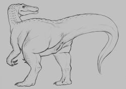 2018 anus ass baryonyx claws dinosaur female feral genitals looking_back monochrome nude pussy raised_tail rear_view reptile scalie simple_background solo spinosaurid standing tail theropod yaroul