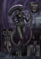 1girls alien alien_(franchise) alien_girl alien_humanoid anus artist_logo artist_name athletic_female black_body black_breasts black_lips black_pussy black_tongue breasts clitoris cutaway eyeless female female_xenomorph front_view full-length_portrait genitals hi_res himeragoldtail humanoid humanoid_genitalia humanoid_pussy licking licking_lips licking_own_lips lips logo mouth_closed navel nude open_mouth plump_labia portrait presenting presenting_pussy pussy rear_view sharp_teeth simple_background solo standing teeth tongue tongue_out xenomorph