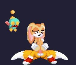 1boy 1girls 2d 2d_animation animated anus ass chaos cream_the_rabbit female gif male miles_prower penis pixel_animation pixel_art project_x_love_potion_disaster rabbit sega sonic_(series) sonic_the_hedgehog_(series) tails tails_the_fox vaginal vaginal_penetration