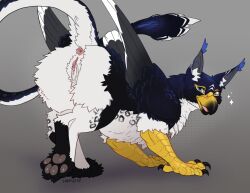 2023 anus ass avian beak big_butt black_body black_feathers black_fur blue_body blue_fur bodily_fluids claws clitoris deya_(billeur_entropy) dripping dripping_pussy feathered_wings feathers female female_focus female_only feral fur genital_fluids genitals gryphon hindpaw inner_ear_fluff looking_at_viewer looking_back mythological_avian mythology open_mouth original original_character pawpads paws presenting presenting_hindquarters pussy pussy_juice pussy_juice_string simple_background sinpufff sinpufff smile solo tail talons tuft white_body white_feathers white_fur wings