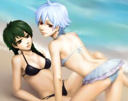 2girls alternate_costume beach bikini black_bikini black_eyes braided_hair canon_genderswap cleavage dark_green_hair female female_only genderswap_(mtf) ginko_sakata gintama gintoki_sakata green_hair hijikata_tenko hijikata_toshiro june17 light_blue_hair looking_at_viewer looking_back medium_breasts red_eyes rule_63 short_hair smile swimsuit twin_braids very_short_hair white_bikini white_hair yuri