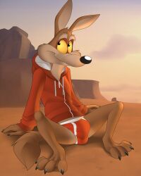 4:5 anthro briefs brown_body bulge canid canine canis clothing coyote detailed_bulge fernley hi_res hoodie looney_tunes male mammal midriff outside red_clothing sitting solo topwear underwear warner_brothers wile_e._coyote