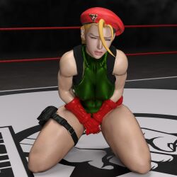 3d cammy_white cuntbusting gcb ryona street_fighter tagme