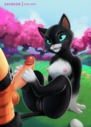 1boy 1girls 2022 3_toes anthro areola balls belt black_body black_fur blue_eyes bodily_fluids boots breasts canon_couple clitoris clothing detailed_background digital_drawing_(artwork) digital_media_(artwork) domestic_cat dreamworks duo erection faceless_character faceless_male feet felid feline felis female foot_fetish foot_play footjob footwear forest fur genitals hi_res hindpaw humanoid_genitalia humanoid_penis kitty_softpaws larger_male looking_at_another looking_at_partner male male/female mammal multicolored_body multicolored_fur nipples nude orange_body orange_fur patreon pawpads paws penis pink_nipples pink_nose plant puss puss_in_boots_(dreamworks) puss_in_boots_the_last_wish pussy sex sitting size_difference small_breasts toes tree tuxedo_cat two-footed_footjob two_tone_body two_tone_fur uhmsprs ultrahyper whiskers