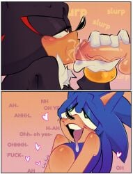 shadow the hedgehog from sega by sailorsonic