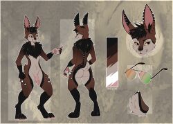 2022 anthro ass balls brown_body brown_fur butt_heart circumcised crystalyric digitigrade flaccid fur genitals glans lagomorph leporid male mammal model_sheet pawpads penis rabbit solo tea_bunny_(tea-v77)