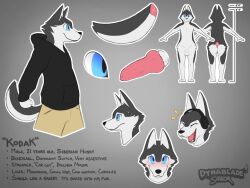 4:3 animal_genitalia animal_penis anthro ass balls blue_eyes blush bodily_fluids canid canine canine_genitalia canine_penis canis clothing domestic_dog dynablade_savior excited fur genitals grey_background grey_body grey_fur hi_res hoodie husky knot kodak_(dynablade_savior) male mammal model_sheet multicolored_body nervous_smile nordic_sled_dog penis sheath siberian_husky simple_background solo spitz sweat sweatdrop tagme topwear two_tone_body white_body white_fur worried