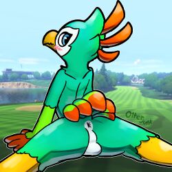 1:1 anus ass avian balls bird_body_(nintendo_switch_sports) blush dipstick_tail_feathers feathers genitals golf_course hi_res looking_at_viewer looking_back male nintendo nintendo_switch_sports nude otterjunk perineum solo solo_focus spread_butt spreading tail_feathers