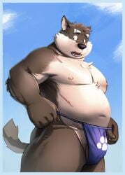 anthro asian_clothing balls barely_visible_balls barely_visible_genitalia belly biceps blue_border border bulge canid canine canis clothing domestic_dog east_asian_clothing eyebrows fundoshi fur genitals gigasaddle grey_body grey_fur japanese_clothing lifewonders male mammal moritaka musclegut navel nipples pecs pubes scar solo thick_eyebrows tokyo_afterschool_summoners underwear