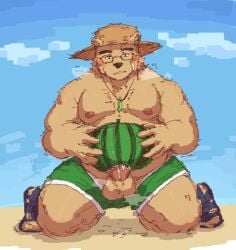 2023 anthro balls band-aid bandage bear blush brown_body clothing erection eyewear food fruit genitals glasses hat headgear headwear humanoid_hands lifewonders male mammal masturbation melon moobs murzax outside overweight overweight_male penis plant solo straw_hat tokyo_afterschool_summoners volos watermelon watermelon_sex