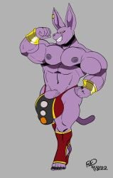 anthro balls big_balls big_bulge big_penis bulge champa dragon_ball dragon_ball_super felid feline flaccid flexing furry gold_eyes hairless_cat male male_only muscles penis rxq solo solo_male thong