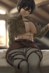 1girls attack_on_titan big_breasts breasts looking_at_viewer mikasa_ackerman shingeki_no_kyojin short_hair solo weedstajoinsart