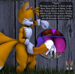 3d devilstophat english_text exposed_torso female footwear fox handwear hedgehog male miles_prower sonia_the_hedgehog sonic_(series) sonic_the_hedgehog_(series) sonic_underground source_filmmaker tails