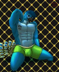 abstract_background avian bird bulge clothing feathers galliform hand_behind_head hermesdidit hi_res king_zanic_(character) kneeling looking_at_viewer male muscular muscular_male peafowl phasianid seductive solo_focus tattoo underwear