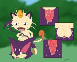 aza from_behind meowth pokemon purrloin sex vaginal_penetration zenu