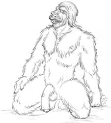 1boy alien balls ballsack big_penis black_and_white body_fur flaccid_penis foreskin furry_balls humanoid humanoid_penis intact looking_at_viewer male male_nipples male_only male_pubic_hair monochrome nude_male scrotum shaggy_fur solo squatting star_wars testicles uncut vein veiny_penis wookiee