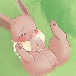 1:1 3_toes blush closed_eyes color day eevee female female_only fur furry_ears grass lying nude on_back open_mouth outdoors pokemon pokemon_(species) pussy raised_legs solo tagme uncensored