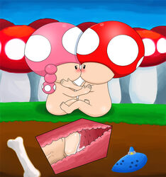 mario_(series) nintendo shadowlink350 super_mario_bros. tagme toad_(mario) toadette