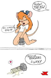 chip_'n_dale_rescue_rangers comic disney gadget_hackwrench jk pussy