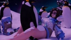 1girls 3d animated blizzard_entertainment bloggerman feral feral_on_female feral_on_human feral_penetrating feral_penetrating_human interspecies mei_(overwatch) mp4 no_sound outside overwatch penguin rubbing shorter_than_10_seconds tagme video zoophilia