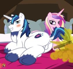 absurd_res after_sex alicorn_pony anus ass balls bedroom blush duo fart fart_cloud fart_fetish female feral friendship_is_magic genitals hasbro hi_res male male/female mane married_couple messy_mane moon_pearl morning musk my_little_pony princess_cadance_(mlp) shining_armor_(mlp) succubi_samus