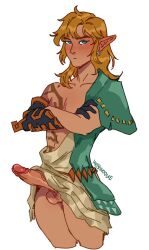 arms_crossed big_penis bishonen breath_of_the_wild elf erection flustered hebiwoogie link link_(breath_of_the_wild) male male_only poking_out pretty_boy skirt solo tears_of_the_kingdom the_legend_of_zelda tunic