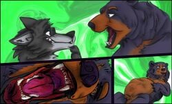 anthro balls bear belly big_belly big_bulge bodily_fluids bulge bulge_size_difference canid canine canis claws digital_media_(artwork) duo feral fur genitals looking_at_viewer male male/male mammal nude open_mouth oral_vore penis renly renlythewolf reoisready saliva simple_background size_difference soft_vore stomach_bulge teeth tongue tongue_out vore wolf