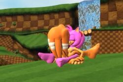 3d 3d_model amy_rose animated breast_sucking dradicon mobian mobian_(species) mobian_echidna mp4 no_artist_signiture no_sound scissoring sega soles sonic_(series) sonic_adventure sonic_the_hedgehog_(series) tagme tikal_the_echidna video yuri