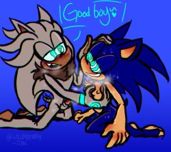 silver the hedgehog from sonic (series)