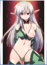 alleyne blonde_hair blue_eyes breasts female long_hair navel nipples panties pointy_ears queen's_blade tagme