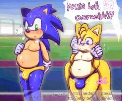 ass big_butt blush chubby_male clothed clothing duo male male/male nipples non-human onechan overweight overweight_male sega sigh slightly_chubby sonic_(series) sonic_the_hedgehog sonic_the_hedgehog_(series) speedo speedo_only swimwear tails thick_thighs topless