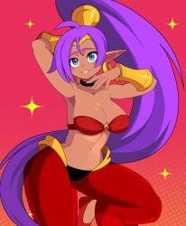 1girls arm_behind_head armpits big_breasts blue_eyes breasts busty cleavage dark-skinned_female dark_skin female female_only highres large_breasts leg_lift long_hair looking_at_viewer midriff navel ninelean pants pointy_ears ponytail purple_hair shantae shantae_(character) smile smooth_skin solo