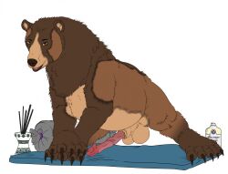 anatomically_correct anatomically_correct_genitalia anatomically_correct_penis animal_genitalia animal_penis balls bear big_ballss big_penis brown_bear erection feral genitals grizzly_bear hair hi_res incense kuruk_(character) male mammal mane mane_hair massage_oil penis sheath slightly_chubby smexyoryx solo ursine ursine_penis yoga yoga_mat