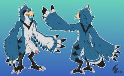 absurd_res anthro avian big_penis bird blue_body feathered_wings feathers genitals hi_res huge_cock hyper hyper_genitalia hyper_penis male neonyx nintendo penis rito the_legend_of_zelda wings