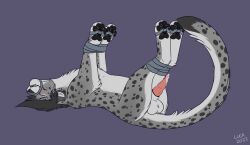 4_toes absurd_res blush bodily_fluids caraluca duct_tape erection feet feral gag genital_fluids hi_res hindpaw leaking_precum male male_only paws precum snowy_cheetah solo tape tape_bondage tape_gag tickling tickling_feet toes vibrator_on_feet