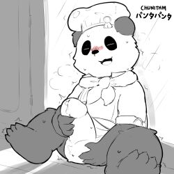 2023 anthro balls bear chef_hat chunithm clothing erection genitals giant_panda hat headgear headwear hi_res japanese_text kemono male male_only mammal masturbation penis sande_(pixiv) sitting solo text