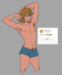 link from breath of the wild by hebiwoogie