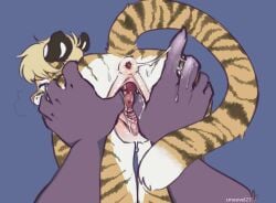 andromorph anthro anus big_clitoris big_hands blonde_hair blue_eyes bodily_fluids breath cervix clitoris cum cum_in_pussy cum_inside cum_on_hand cum_string cuntboy drall felid fingers_in_pussy gaping gaping_anus gaping_pussy genital_fluids genitals hair intersex mammal markings pantherine pink_nose puffy_anus pussy smeevel27 solo stretched_pussy striped_markings stripes tail tiger