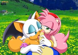 amy rose from sega by bbmbbf