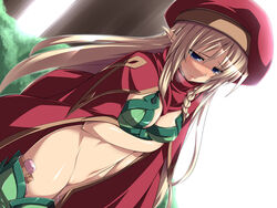 alleyne blonde_hair blue_eyes cleavage female long_hair pointy_ears queen's_blade tagme vibrator