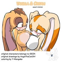 big_breasts breasts color cream_the_rabbit exposed_breasts female female_only fur furry multiple_females rabbit sega sonic_(series) vanilla_the_rabbit y-mangaka