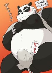 1boy 2023 anthro anthro_only bear black_body black_nose blush genma_saotome giant_panda japanese_text kemono male male_only mammal moobs nipples overweight overweight_male ranma_1/2 solo text towel wantaro white_body