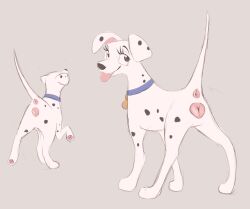 101_dalmatians anatomically_correct anatomically_correct_genitalia anatomically_correct_pussy animal_genitalia animal_pussy anus blue_collar canid canine canine_genitalia canine_pussy canis collar dalmatian disney domestic_dog eyelashes female feral fur genitals hi_res labbit1337 mammal perdita pink_anus pussy solo tongue tongue_out white_body white_fur