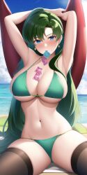 lyn (fire emblem) from fire emblem by phantomtobi