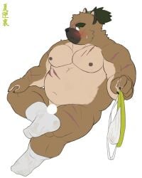 anthro belly blush brown_body brown_fur canid canine canis clothing domestic_dog eyebrows footwear fur hi_res jockstrap lifewonders male mammal musclegut natsuhakoura navel nipples nude pecs scar socks solo thick_eyebrows tokyo_afterschool_summoners underwear yasuyori