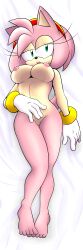 amy_rose breasts fullmetalsketch hedgehog hedgehog_humanoid sonic_(series) sonic_the_hedgehog_(series)