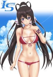 bikini blue_eyes breasts curvaceous curvy curvy_body curvy_female curvy_figure dark_hair infinite_stratos nanikairu pasya-pasya ponytail red_bikini ribbon shinonono_houki shy sky tease teasing teasing_viewer wristband