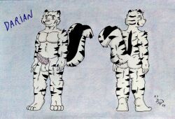 2023 5_fingers animal_genitalia animal_penis anthro ass balls belly blue_eyes colored dashthefox felid feline feline_ears feline_genitalia feline_penis fingers fluffy fluffy_tail front_view fur genitals hi_res long_tail male mammal masculine_male model_sheet muscular pantherine pecs penis pink_nose pink_penis rear_view reference_image simple_background skunk_tail solo striped_body striped_fur stripes tail tiger traditional_media_(artwork)